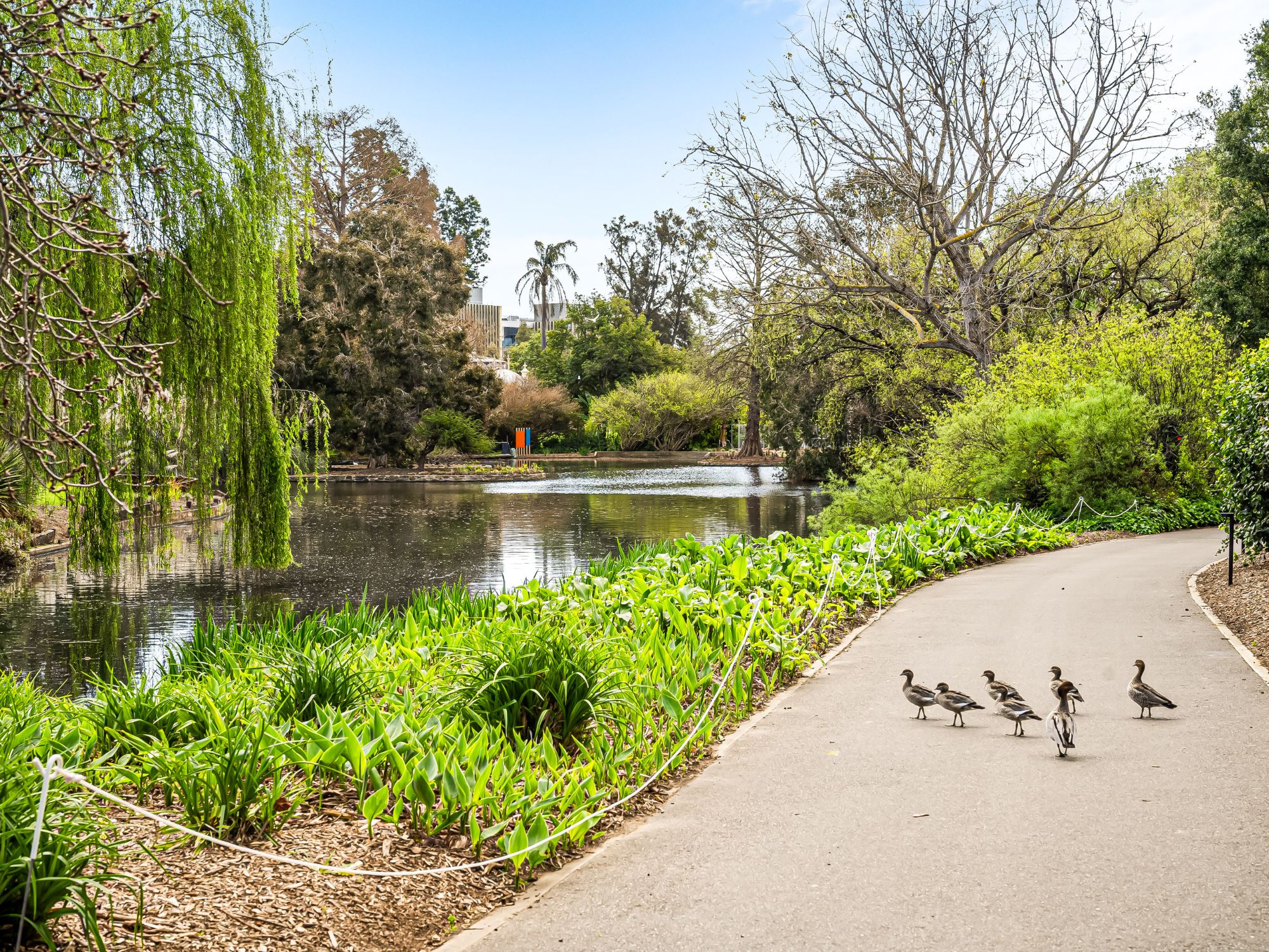 Magill Lifestyle (3)