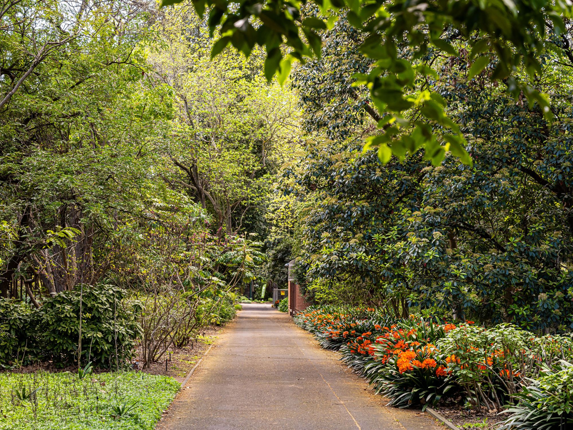 Magill Lifestyle (4)